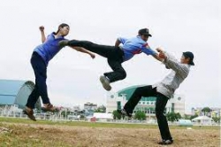 bao gia bao ve tai dien bien