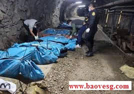 cac nhan vien bao ve tai mo vang peru bi sat hai