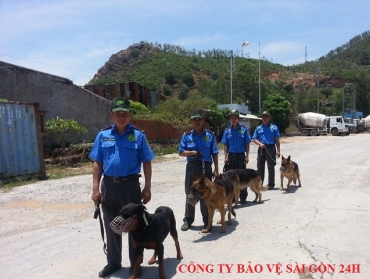 dich vu bao ve benh vien o quan 12