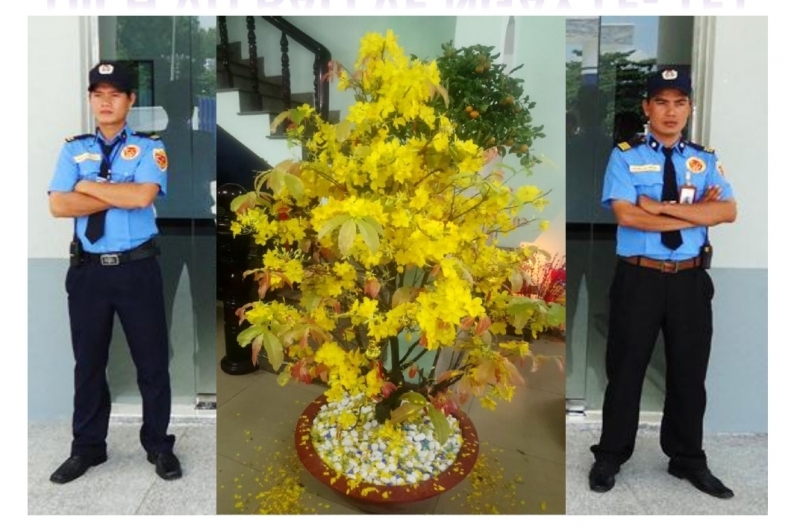 dich vu bao ve khach san o quan 1