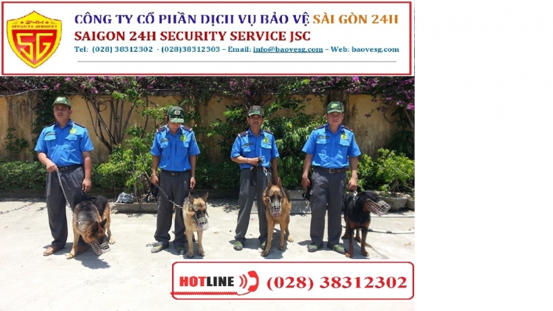 dich vu bao ve tai phuong chanh hung